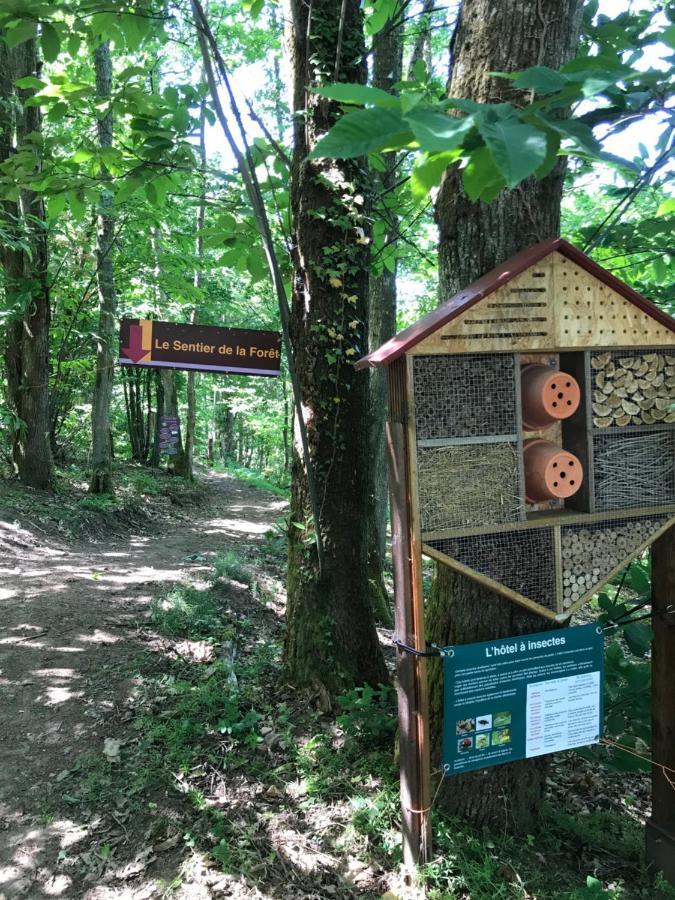 Auberge Les Hauts De Chénas Zewnętrze zdjęcie
