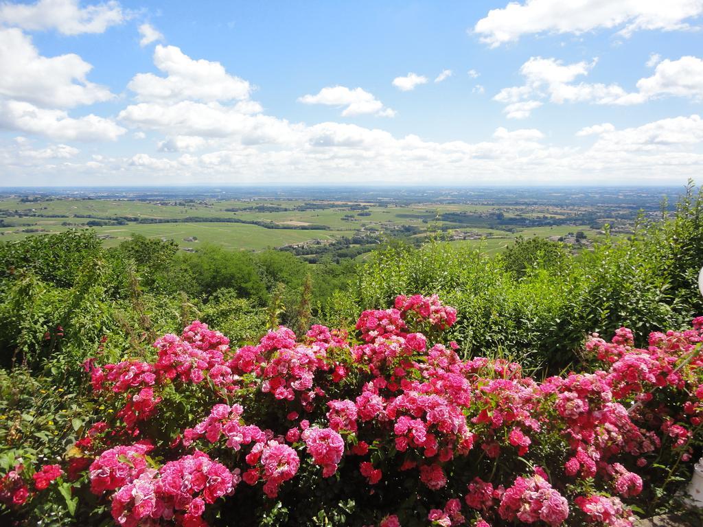 Auberge Les Hauts De Chénas Zewnętrze zdjęcie