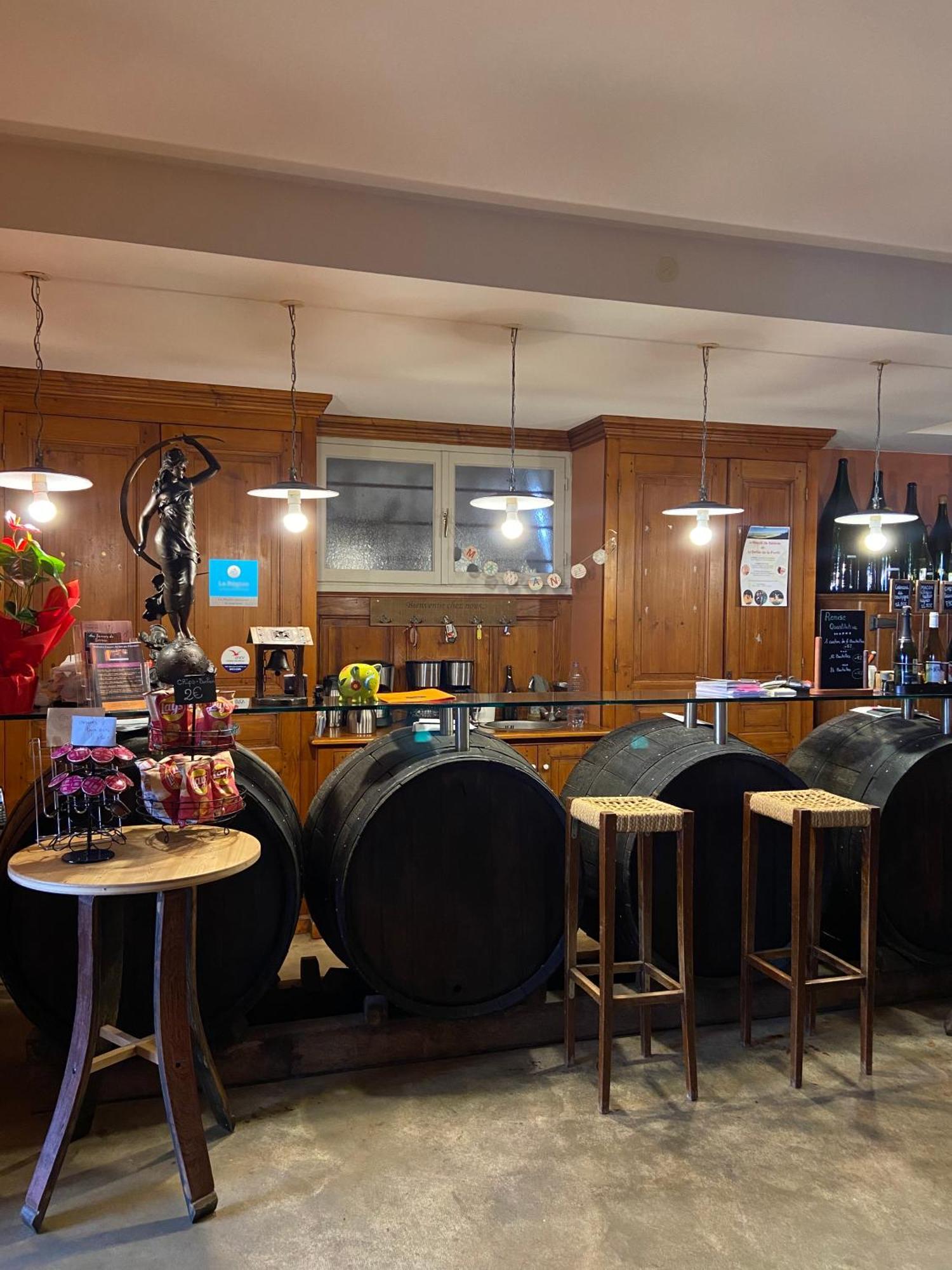 Auberge Les Hauts De Chénas Zewnętrze zdjęcie